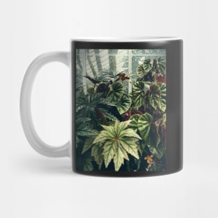 Beautiful Begonias Mug